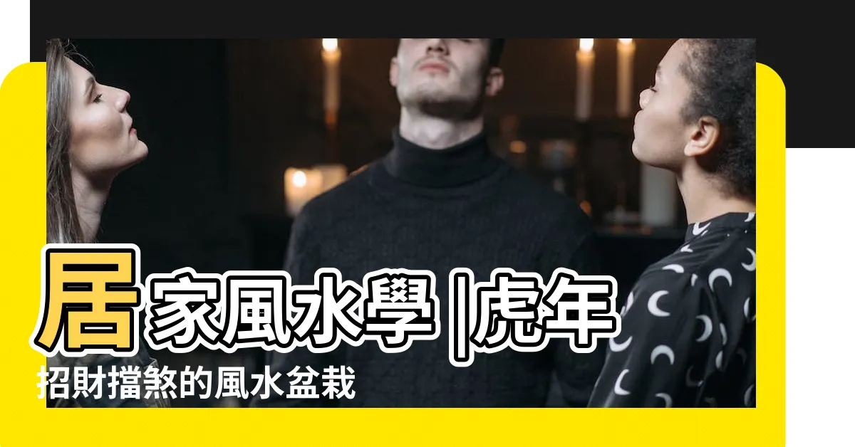 【虎皮蘭風水】居家風水學 |虎年招財擋煞的風水盆栽 |家裡的虎尾蘭放哪裡才招財 |