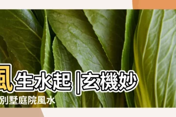 【庭院 財位 風水】風生水起 |玄機妙算 |別墅庭院風水佈局與禁忌 |