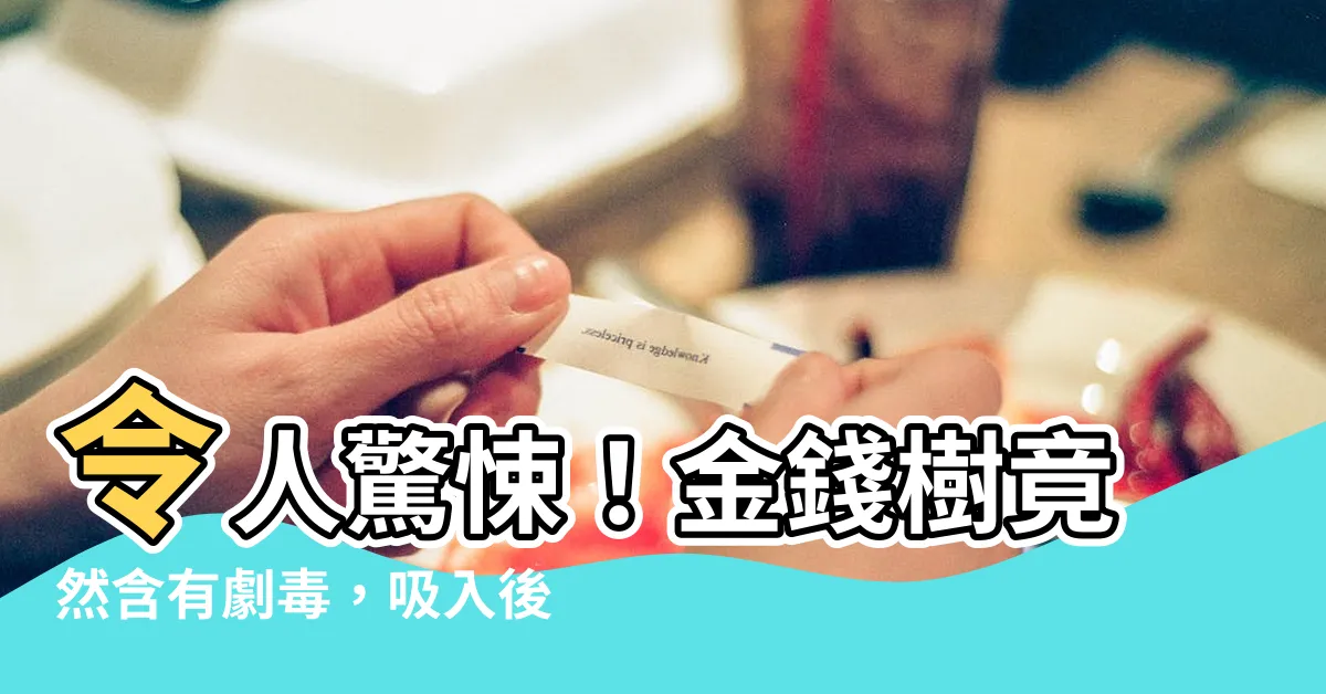 【金錢樹致癌】令人驚悚！金錢樹竟然含有劇毒，吸入後恐致癌症！