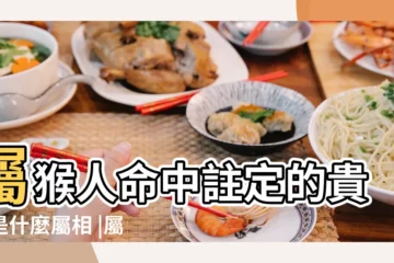 【屬猴人的三合貴人】屬猴人命中註定的貴人是什麼屬相 |屬猴的三合貴人和6合貴人 |生肖猴的貴人是誰 |