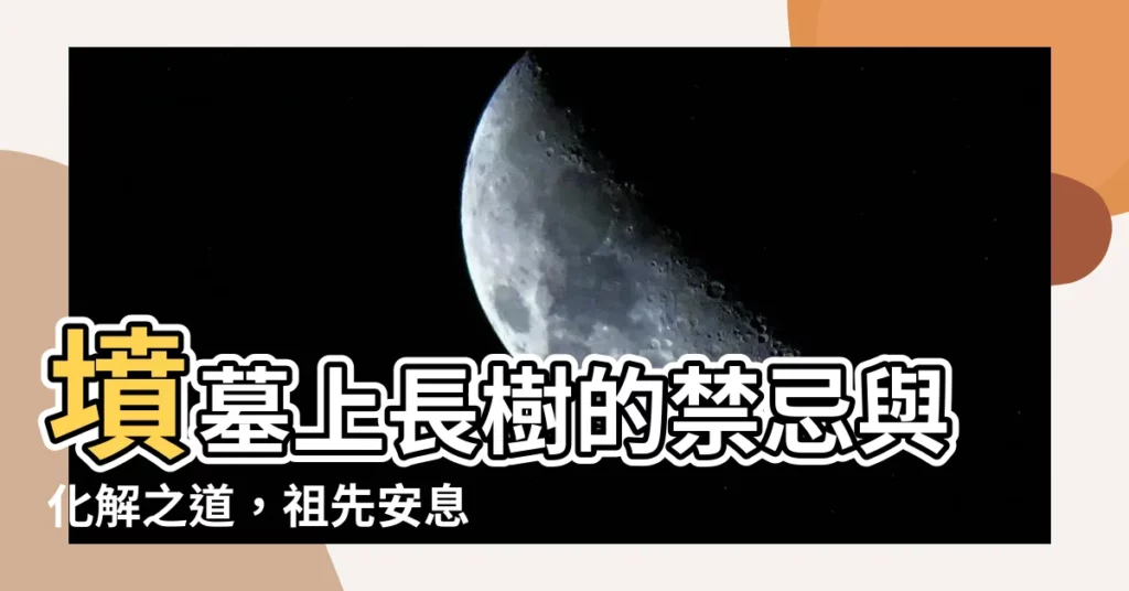 【墳墓上長樹】墳墓上長樹的禁忌與化解之道，祖先安息的秘密