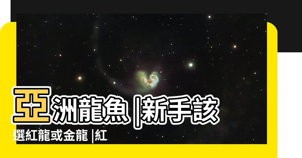 【金龍 紅龍】亞洲龍魚 |新手該選紅龍或金龍 |紅龍與金龍的詳細區別 |