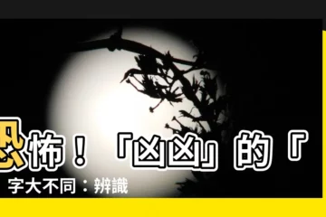 【兇兇】恐怖！「兇兇」的「兇」字大不同：辨識異體字與正體字的差異