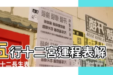 【戊十二長生】五行十二宮運程表解讀 |十二長生表 |天干十二長生與地支十二長生的區別用法 |