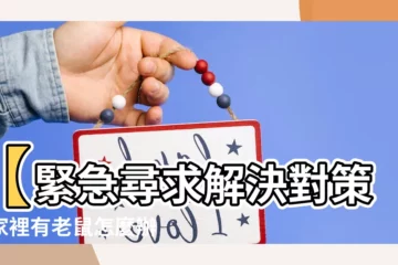 【家裡有老鼠怎麼處理】【緊急尋求解決對策】家裡有老鼠怎麼辦？快速上手5招除鼠方法！