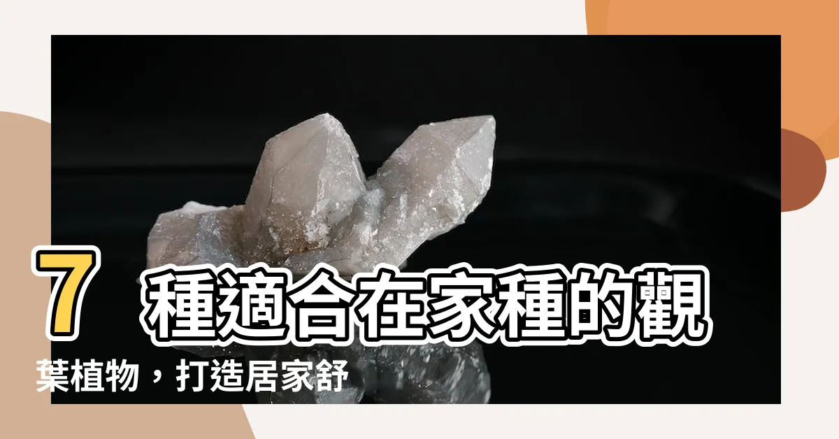 【適合在家種的植物】7種適合在家種的觀葉植物，打造居家舒適綠意環繞