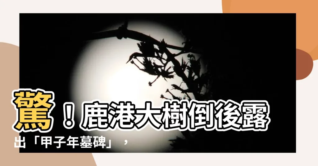 【鹿港樹倒墓碑】驚！鹿港大樹倒後露出「甲子年墓碑」，車主氣炸控鎮長偏袒！