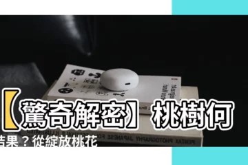 【桃樹結果】【驚奇解密】桃樹何時結果？從綻放桃花到採收甜桃的奧秘