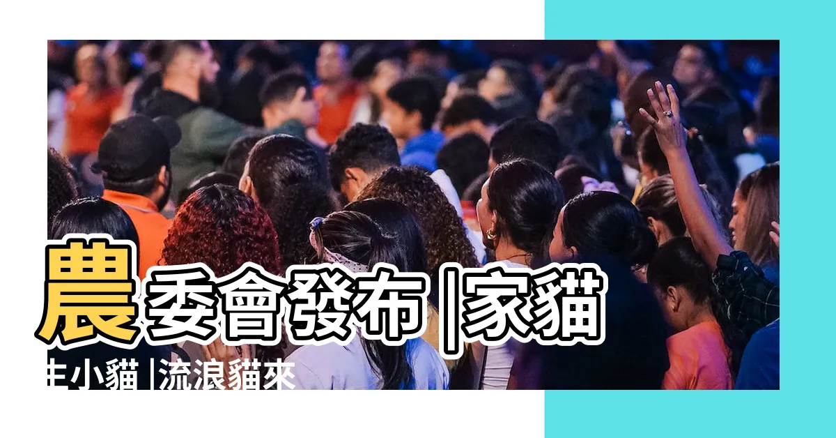 【家貓生小貓】農委會發布 |家貓生小貓 |流浪貓來我家生小貓啦 |