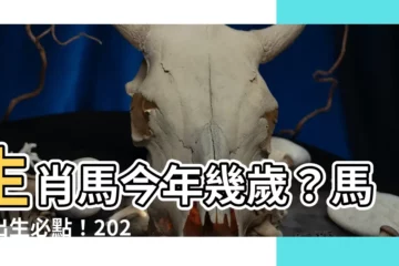 【馬年出生】生肖馬今年幾歲？馬年出生必點！2024年屬馬生肖年齡速查表