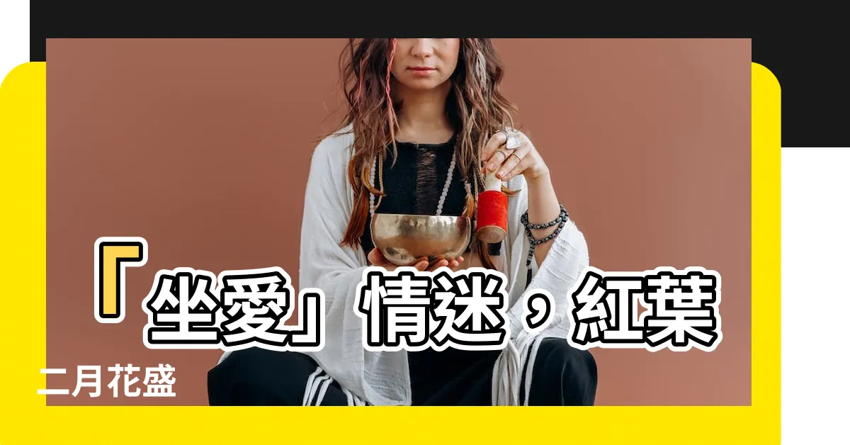 【坐愛】「坐愛」情迷，紅葉二月花盛