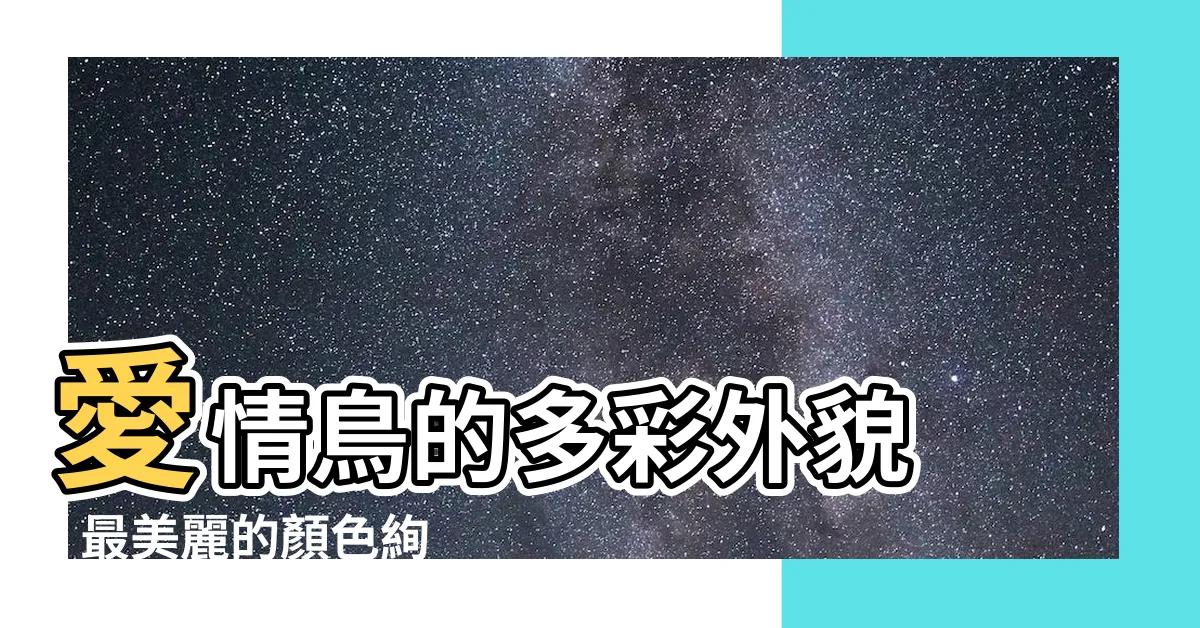 【愛情鳥 顏色】愛情鳥的多彩外貌 - 最美麗的顏色絢爛