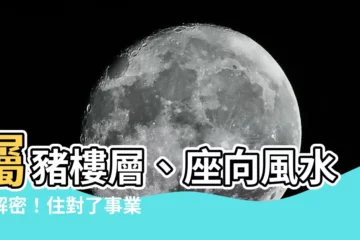 【屬豬的房子坐向】屬豬樓層、座向風水大解密！住對了事業財運好運到，旺上加旺