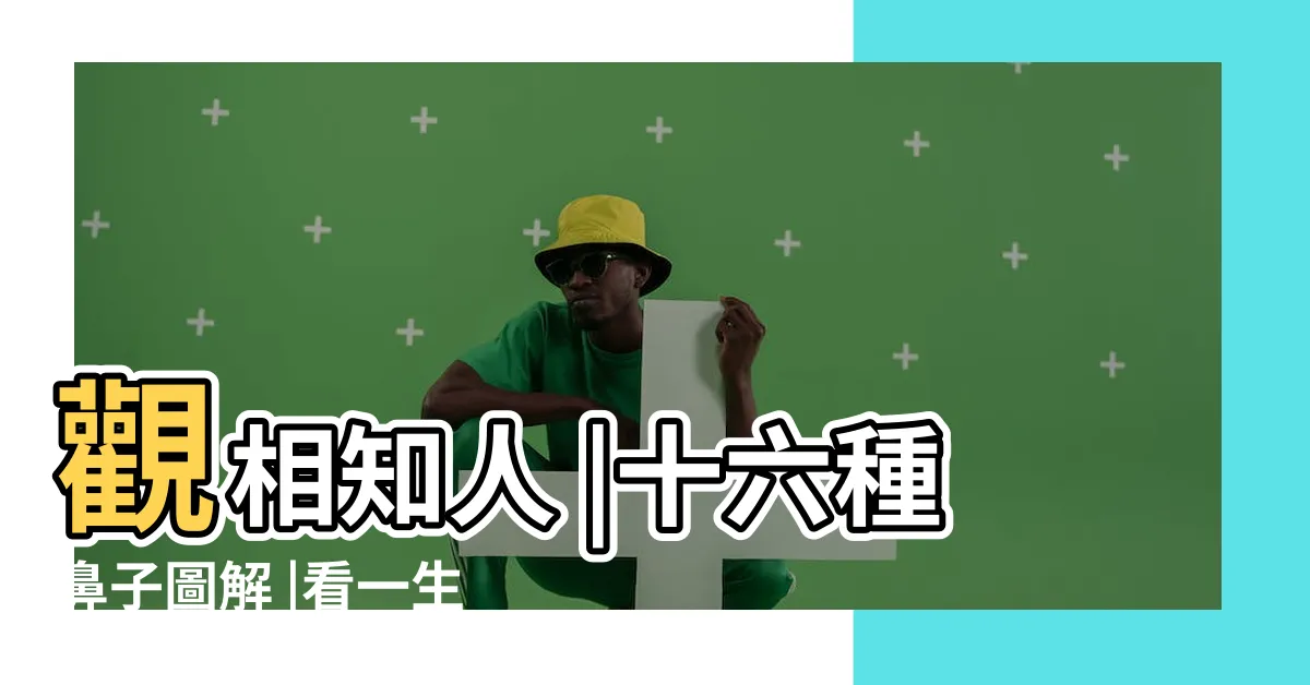 【鼻子風水】觀相知人 |十六種鼻子圖解 |看一生的富貴 |