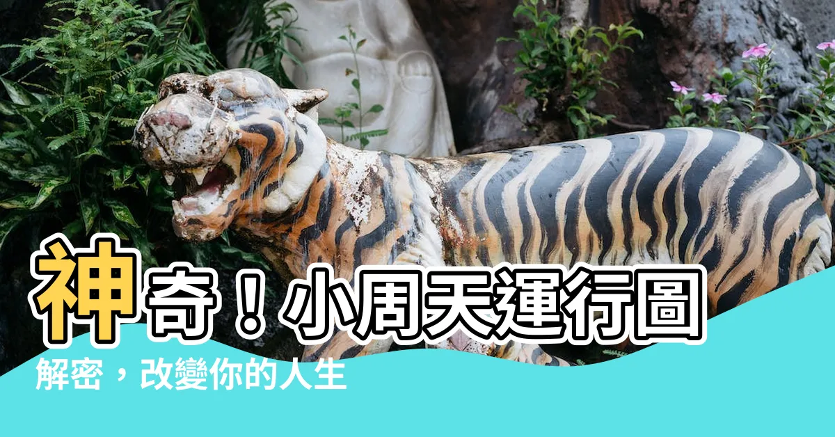 【小周天運行圖】神奇！小周天運行圖解密，改變你的人生軌跡！