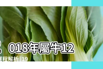 【屬牛12月感情運勢2018】2018年屬牛12月運程解析 |1985年屬牛的人2018年運程 |2018年12生肖運勢詳解 |