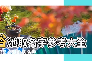 【浴池免費起名大全】浴池取名字參考大全好記又文雅的店名免費 |浴池起名大全免費評分最高的 |個體浴池起名字特殊開店起名字大全免費 |