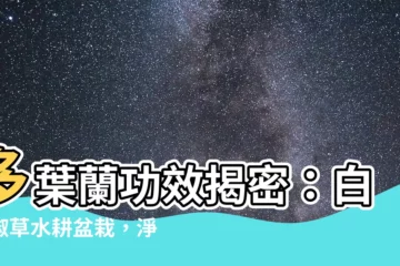 【多葉蘭功效】多葉蘭功效揭密：白脈椒草水耕盆栽，淨化空氣、提升生活品質