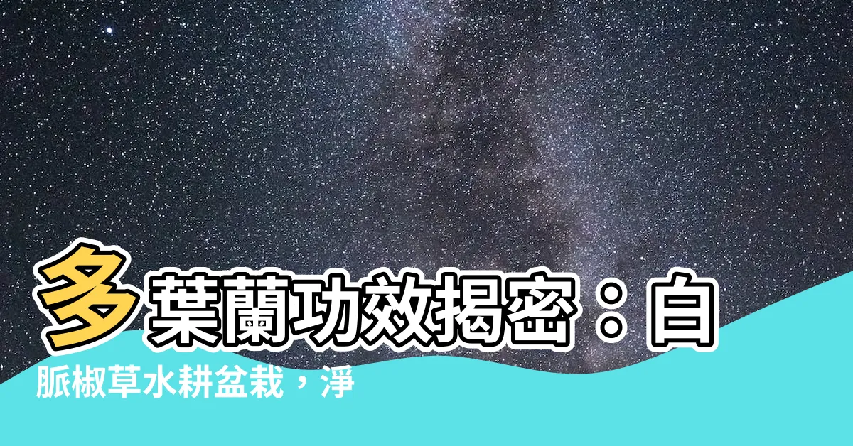【多葉蘭功效】多葉蘭功效揭密:白脈椒草水耕盆栽,淨化空氣、提升生活品質