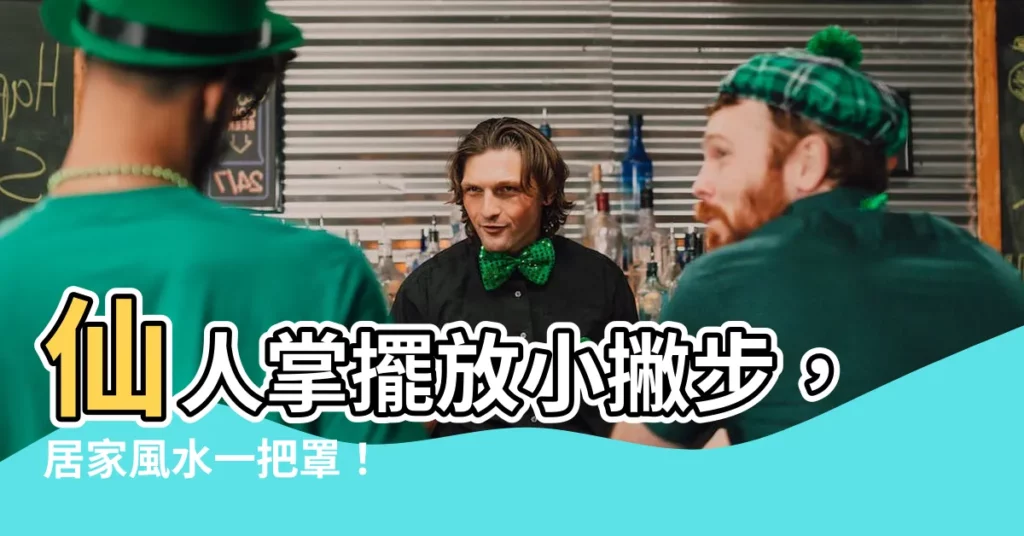 【仙人掌適合放哪裡】仙人掌擺放小撇步，居家風水一把罩！