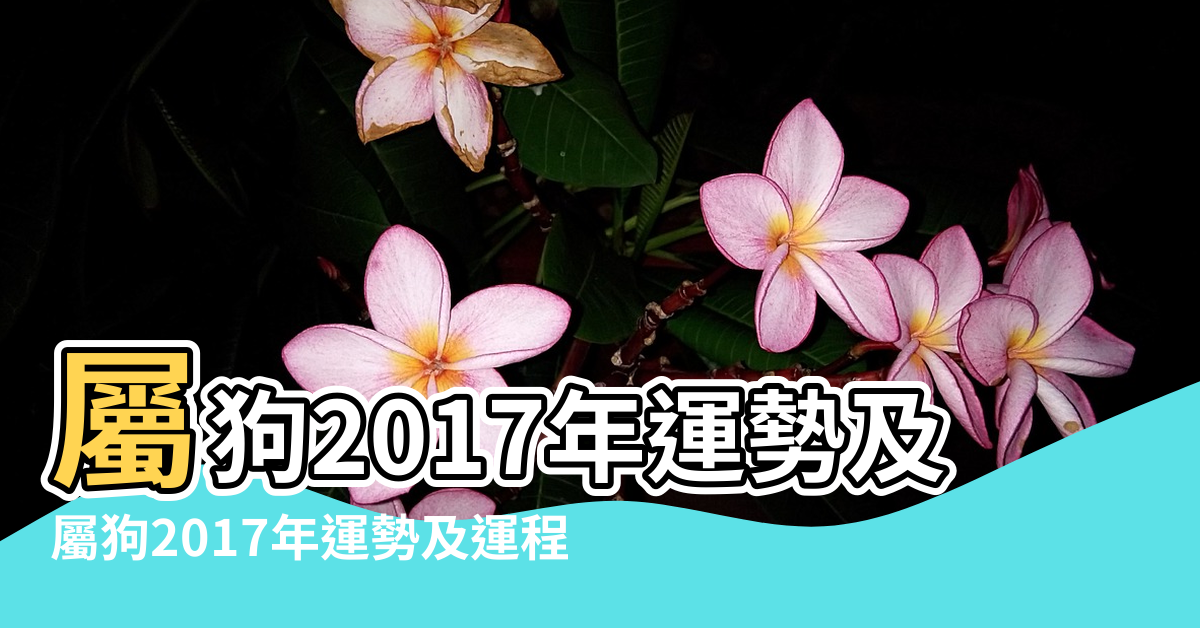 【2017年屬狗風水佈局】屬狗2017年運勢及運程屬狗2017年帶什麼吉祥物好 |屬狗2017年運勢及運程 |屬狗的人2017年運程 |