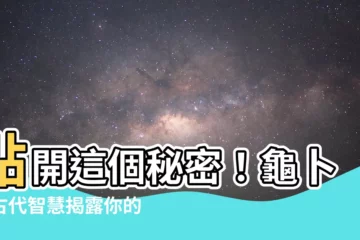 【龜卜】點開這個秘密！龜卜：古代智慧揭露你的未來