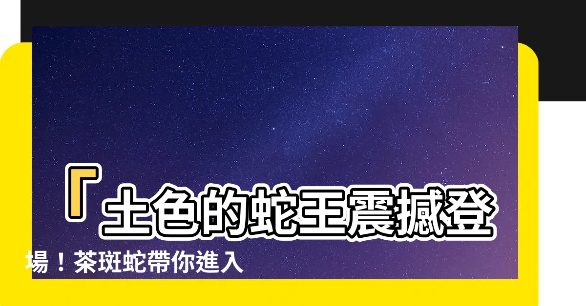 【土色的蛇】「土色的蛇王震撼登場！茶斑蛇帶你進入褐色系恐怖世界！」