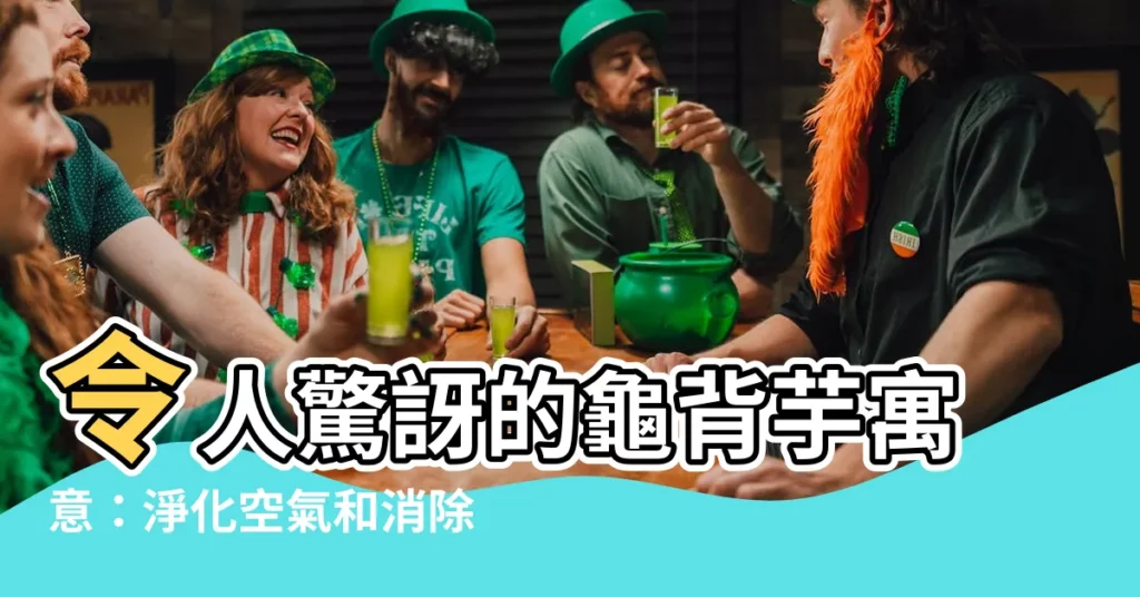 【龜背芋寓意】令人驚訝的龜背芋寓意：淨化空氣和消除負能量的秘密
