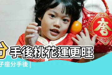 【分手後的雙子座】分手後桃花運更旺 |雙子座分手後 |雙子人見人愛 |