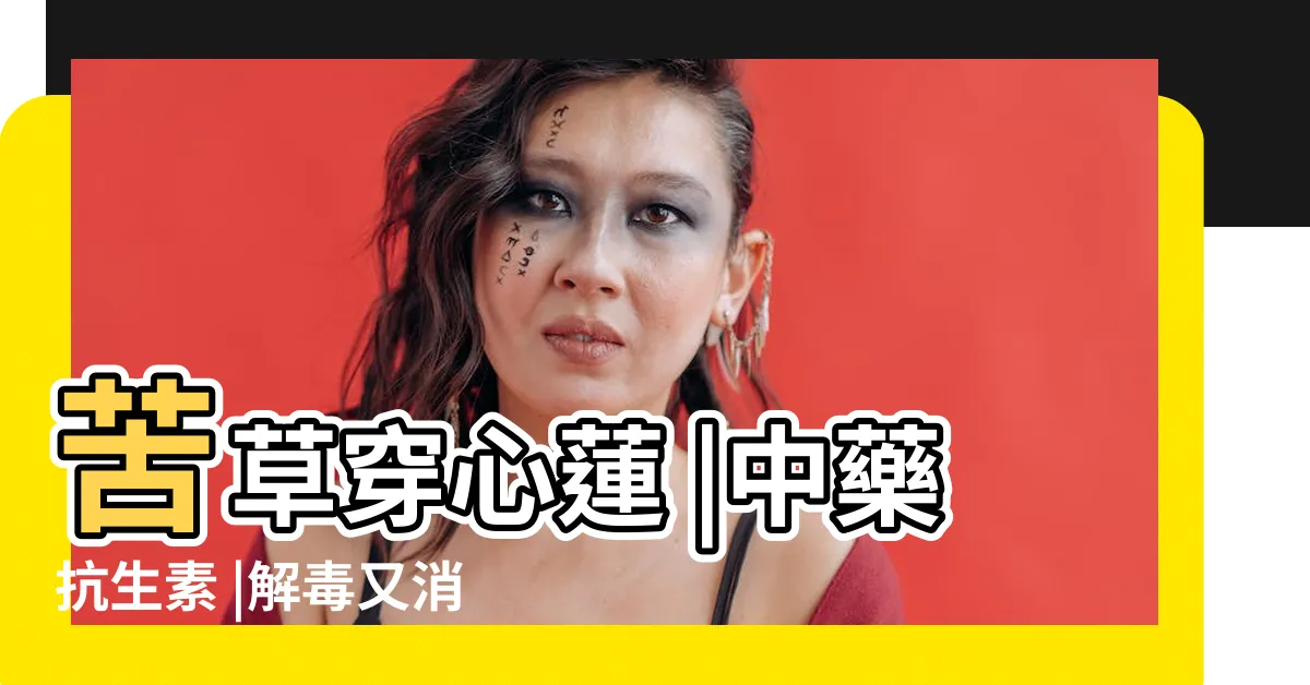 【苦心蓮功效】苦草穿心蓮 |中藥抗生素 |解毒又消炎 |