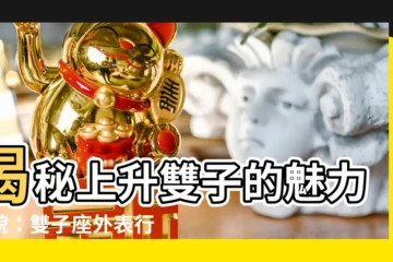 【上升雙子長相】揭秘上升雙子的魅力容貌：雙子座外表行為氣質全解析