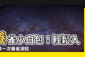 【養雀】養雀小白包！輕鬆入門第一次養雀須知