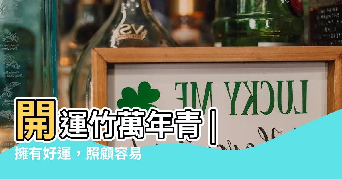 【開運竹萬年青】開運竹萬年青 | 擁有好運，照顧容易