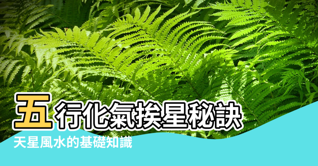 【天星風水陽宅布法】五行化氣挨星秘訣 |天星風水的基礎知識 |賴布衣賴公陽宅三門納氣法 |