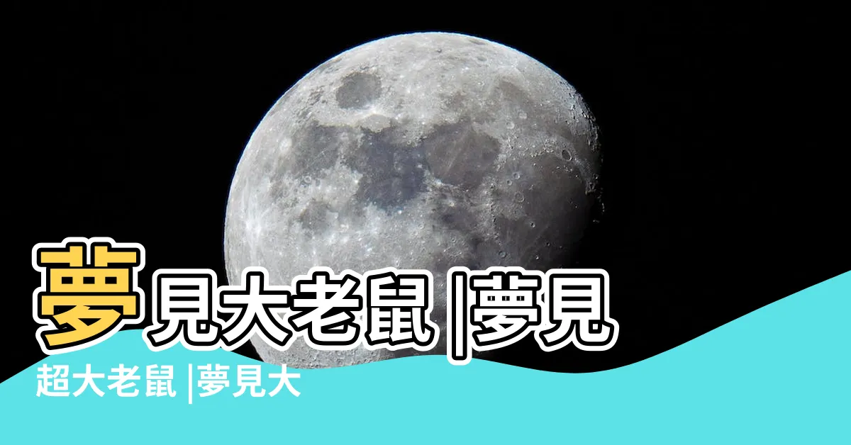 【夢見大老鼠】夢見大老鼠 |夢見超大老鼠 |夢見大老鼠 |