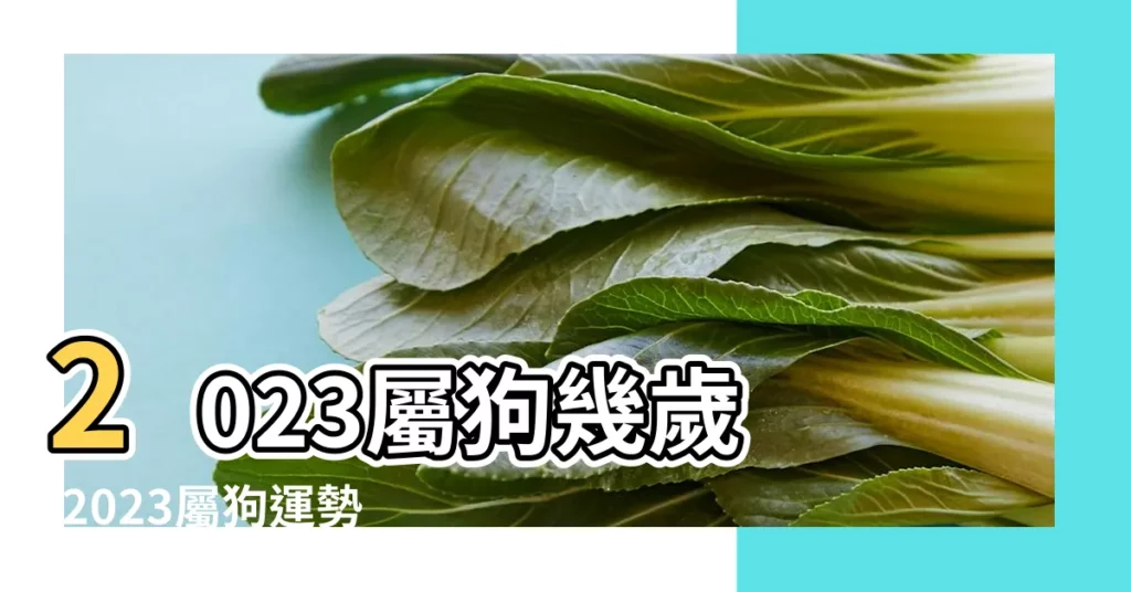 2023屬狗幾歲 |2023屬狗運勢 |2023下半年5生肖財運強屬狗升職加薪屬雞沖太歲一招守住 |【狗年生肖財運】