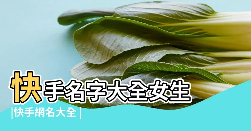 快手名字大全女生 |快手網名大全 |最火的快手名字大全 |【快手名字關於阿的名字大全】