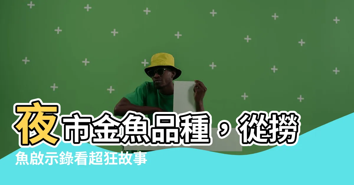 【夜市金魚品種】夜市金魚品種，從撈魚啟示錄看超狂故事！