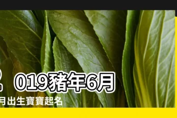 【2019年6月生寶寶名字】2019豬年6月 |六月出生寶寶起名名字大全 |2019年6月出生寶寶起名取名出生在2019豬年6月份的 |