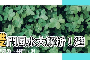 【雙門風水】雙門風水大解析！避開迴風煞、哭門，財運亨通好運連連