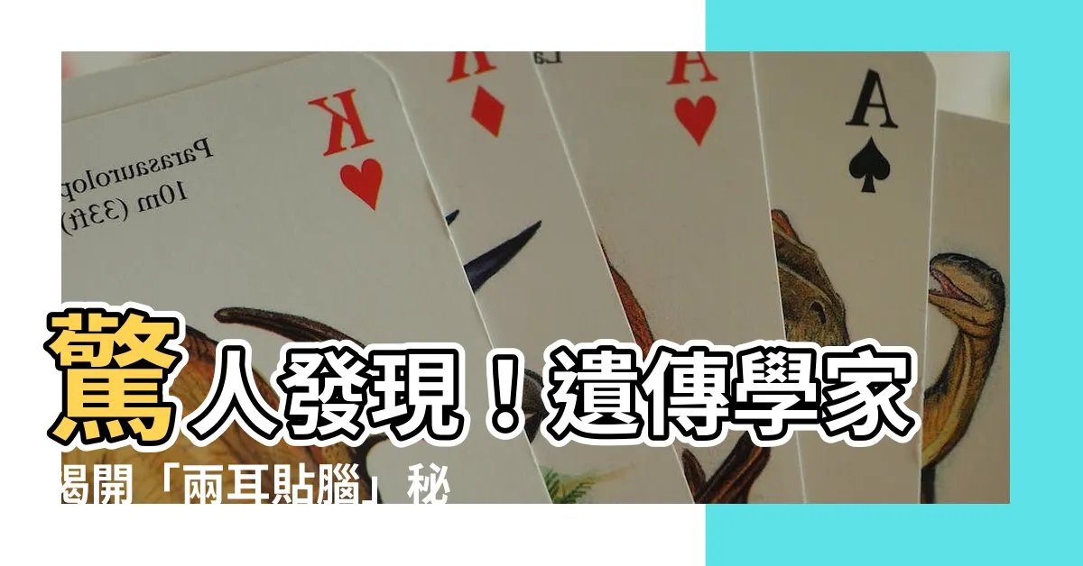 【兩耳貼腦】驚人發現！遺傳學家揭開「兩耳貼腦」秘密，這是富貴的關鍵！