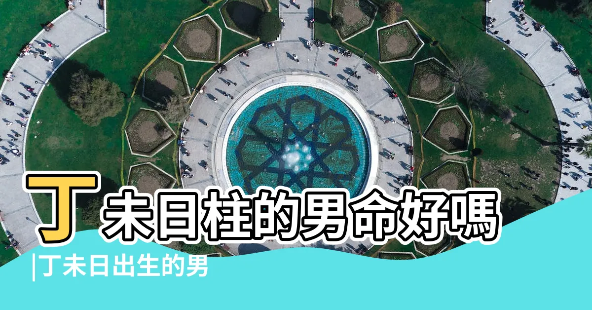 【丁未日男命】丁未日柱的男命好嗎 |丁未日出生的男命如何丁未日男命的命運和性格 |丁未日柱男命婚姻與戀愛觀 |
