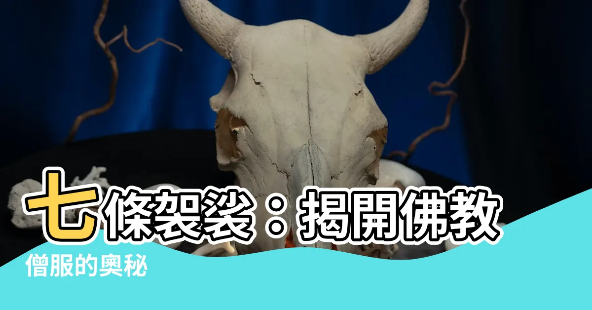 【七條袈裟】七條袈裟：揭開佛教僧服的奧秘