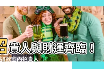 【招貴人植物】招貴人與財運齊臨！盤點8款室內招貴人植物