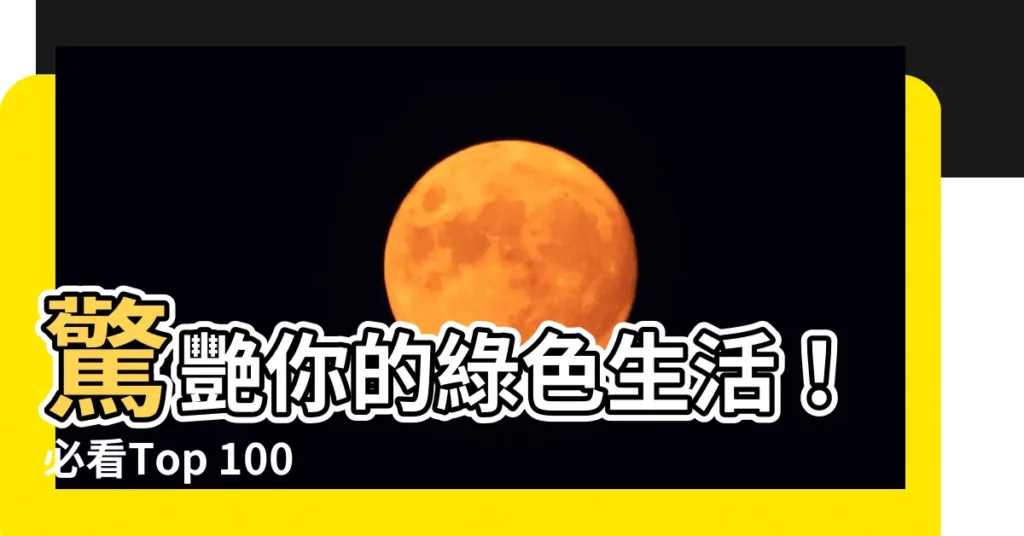 【綠色物品】驚艷你的綠色生活！必看Top 100件綠色物品推薦