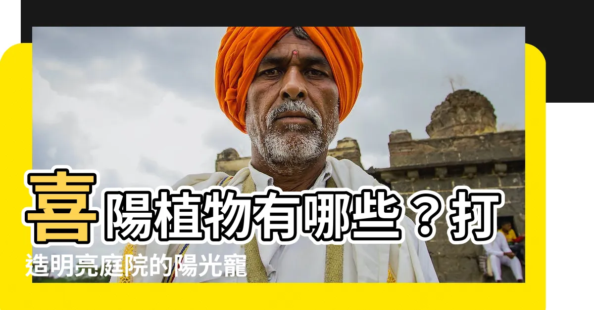 【喜陽植物】喜陽植物有哪些？打造明亮庭院的陽光寵兒！