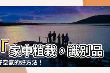 【家中植物】「家中植栽，識別品質好空氣的好方法！」