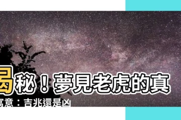 【夢見老虎 解夢】揭秘！夢見老虎的真實寓意：吉兆還是凶兆？