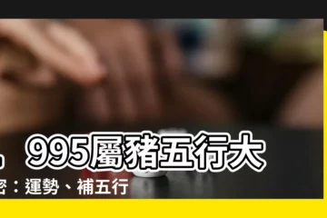 【1995 五行】1995屬豬五行大解密：運勢、補五行全解析！