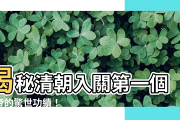 【清朝入關第一個皇帝】揭秘清朝入關第一個皇帝的驚世功績！